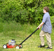 Mowing Lawn