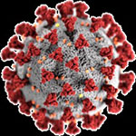 image of COVID-19 virus