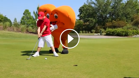 Screenshot of Video