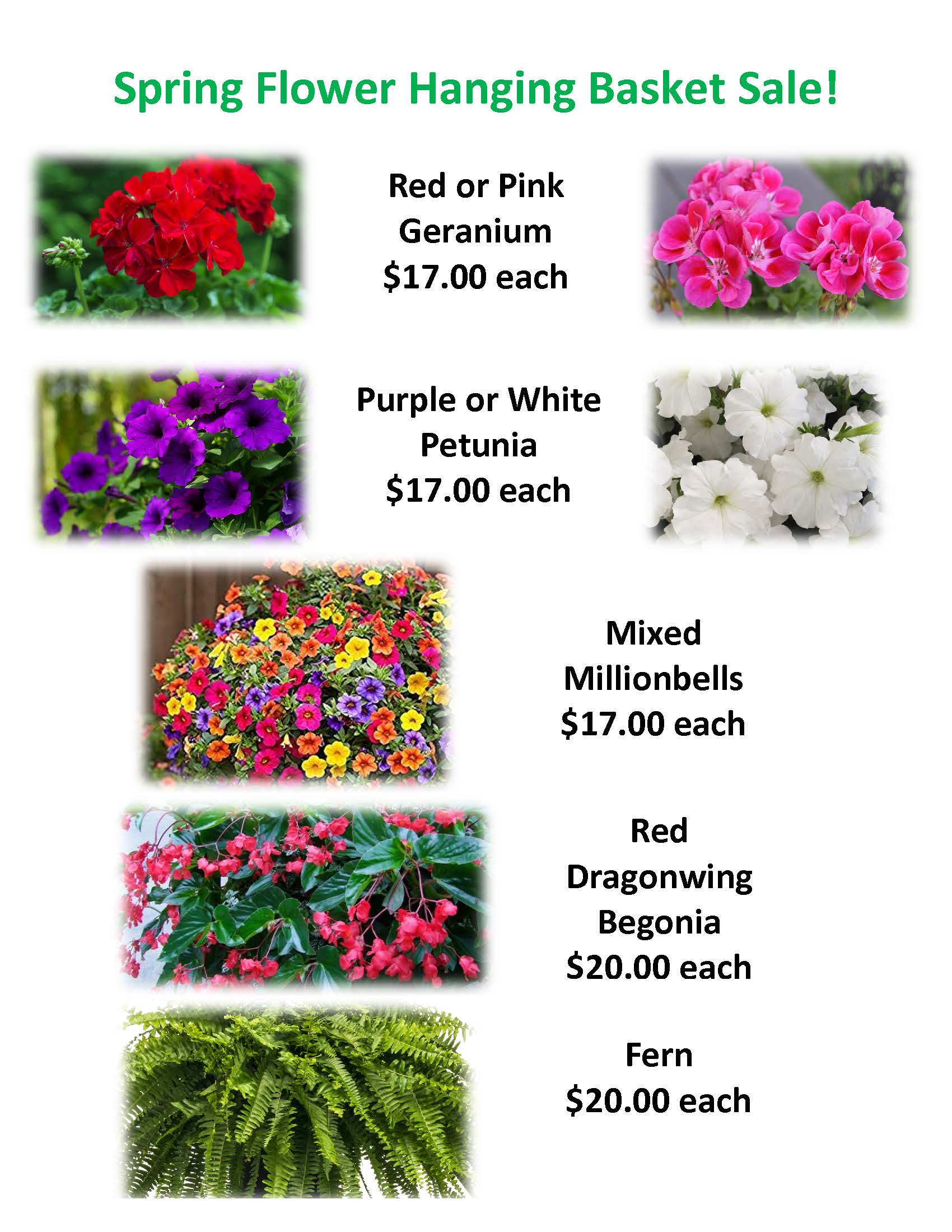 flyer for 2024 Early Learning Center spring flower fundraiser