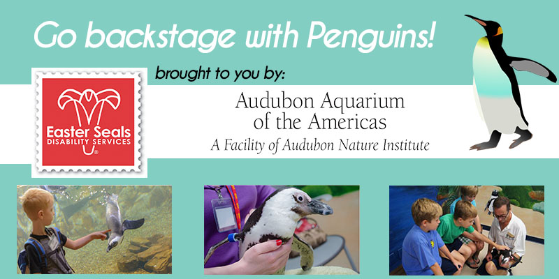 Go Backstage at the Audubon Aquarium's Penguin Habitat with Easter Seals Louisiana
