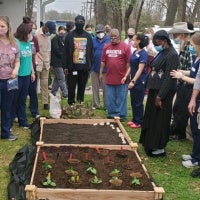 Healthy Blue LA Garden News Image