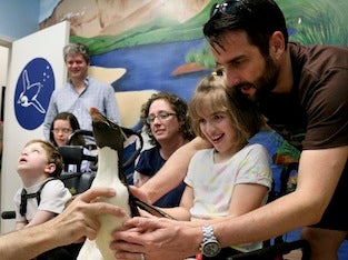 Girl in wheelchair holding penguin with father