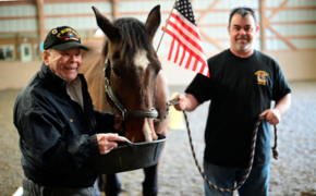 two veterans stand with a horse with an american flag in the background
