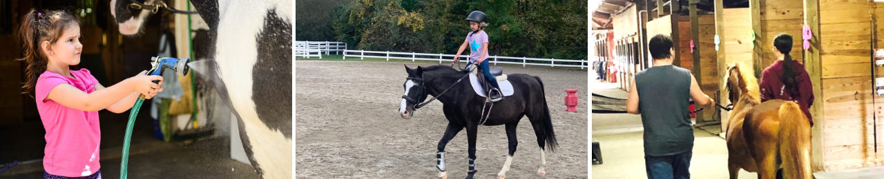 TBC Equestrian Banner