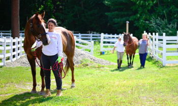 two people lead horses from the paddocks outside on a sunny day