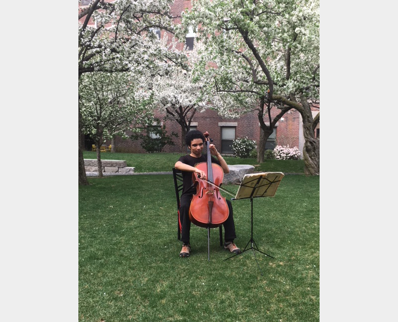 Adam playing the cello outside near a flowering tree
