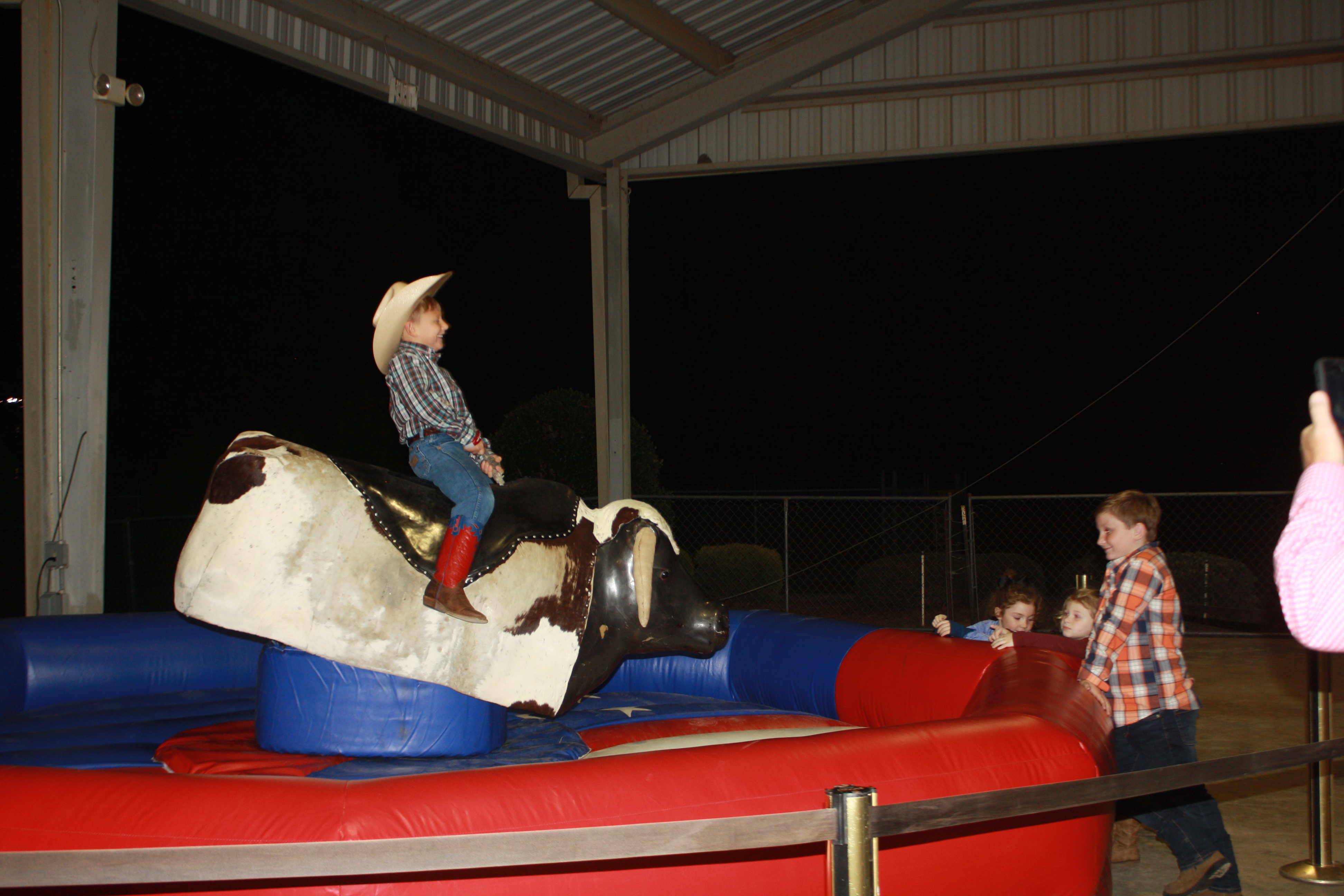 Rodeo, Southern Pines, horses