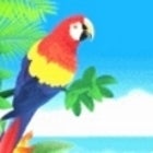 Margaritaville