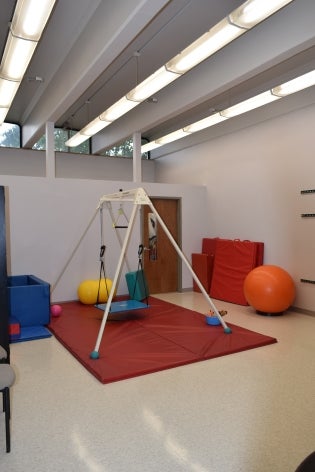 Therapeutic Swing
