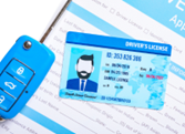 Drivers License Graphic
