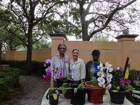 S. Florida orchid garden
