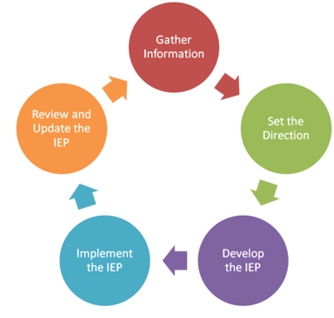 Graph (each element is arranged in a circle, in a loop): Gather information - set the direction - develop the iep - implement the iep - review and update iep
