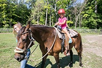 A young girl riding a horse