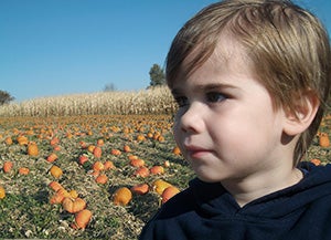 Pumpkin Patch Boy