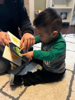 ozzie reading