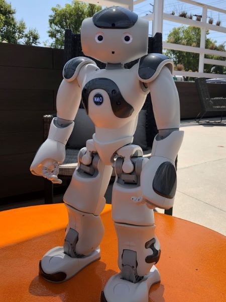Photo of Research Division Robot Hans