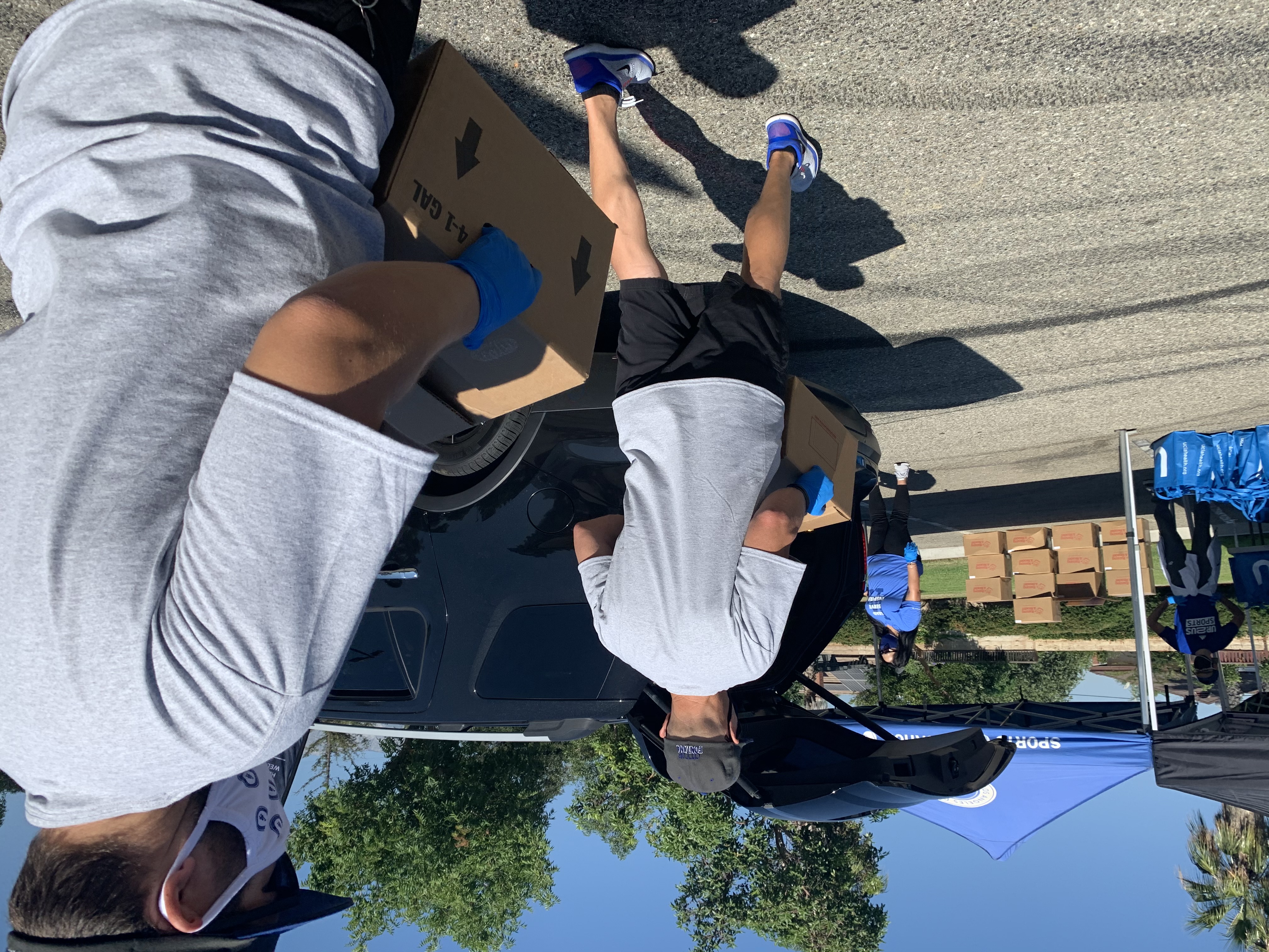 dodgers car shade