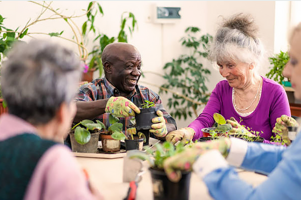 Diverse group of senior citizens gardening.