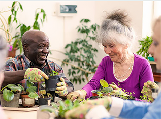 Senior man and woman gardening