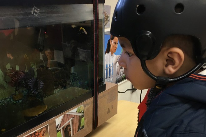 Miguel looking at a fishtank