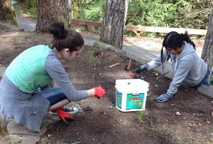 High School Students Volunteer at Camp